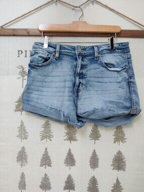 Eunina Kara Super High Rise Cuffed Distressed Denim Shorts Size Large